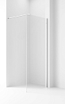 Душевая боковая стенка Ambassador Elysium 100CX 100*200 Душевая боковая стенка Ambassador Elysium 100CX 100*200