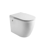 Подвесной унитаз Ceruttispa Sella Aria Pulse 36*59 импульсный смыв, сиденье дюропласт с микролифтом быстросъемное Подвесной унитаз Ceruttispa Sella Aria Pulse 36*59 импульсный смыв, сиденье дюропласт с микролифтом быстросъемное